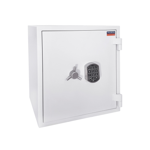 Burglary-resistant Safe Protector 5450